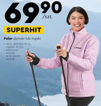 Biedronka Polar Dole oferta