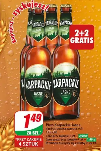 Dino Piwo Karpackie Jasne 0,5 l oferta