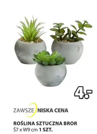 JYSK Sztuczna roślina oferta