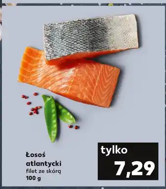 Kaufland Łosoś oferta