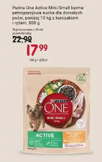 Rossmann Purina One Active Mini/Small karma pełnoporcjowa sucha dla dorosłych psów poniżej 10 kg oferta