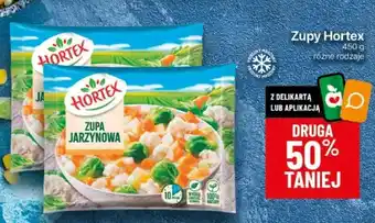 Delikatesy Centrum Zupy Hortex 450g oferta