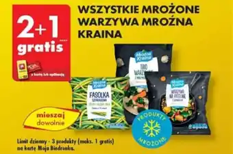 Biedronka WSZYSTKIE MROŻONE WARZYWA MROŹNA KRAINA oferta