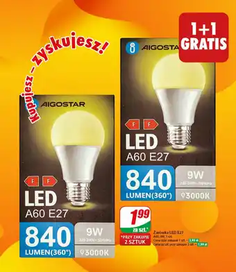 Dino ŹŻarówka LED E27 A60, 9W, 1 szt. oferta