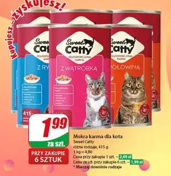 Dino Mokra karma dla kota 415 g oferta