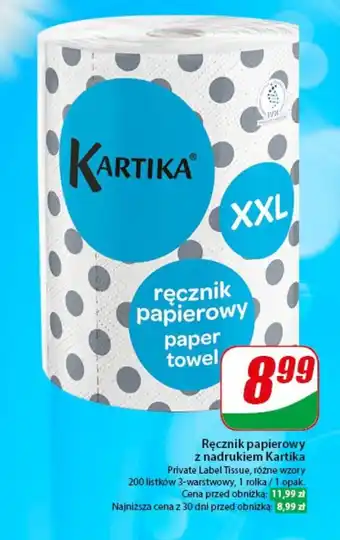 Dino Ręcznik papierowy z nadrukiem Kartika oferta