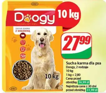 Dino Sucha karma dla psa 10 kg oferta