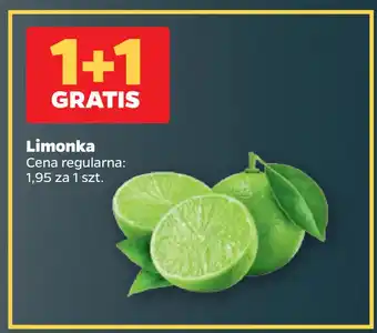Netto Limonka oferta
