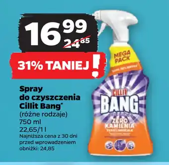 Netto Spray do czyszczenia Cillit Bang oferta