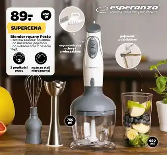 Netto Blender ręczny Pesto oferta
