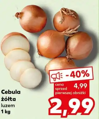 Kaufland Cebula żółta 1 kg oferta