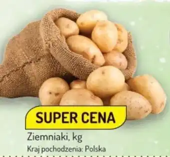 Avita Ziemniaki, kg oferta