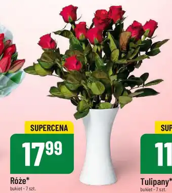 Polomarket Róże 7szt. oferta