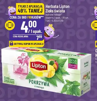 Polomarket Herbata Lipton Zioła świata Ekaterra 20 szt. oferta