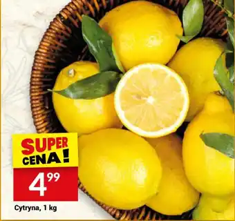 Twój Market Cytryna 1 kg oferta