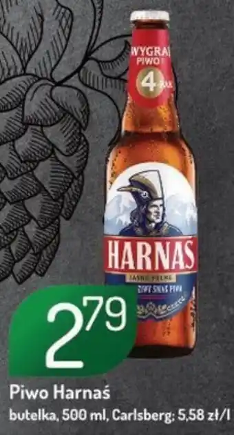 Avita Piwo Harnaś 500 ml oferta