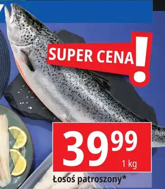E.Leclerc Łosoś patroszony 1 kg oferta