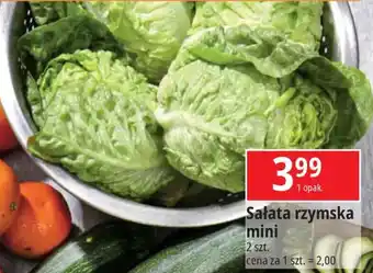 E.Leclerc Sałata rzymska mini 2 szt. oferta