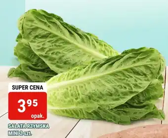 bi1 SAŁATA RZYMSKA MINI 2 szt. oferta