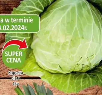 Passa Kapusta biała 1kg oferta