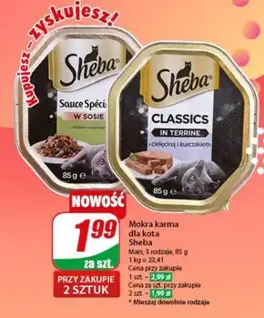 Dino Mokra karma dla kota Sheba oferta