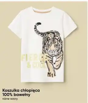 Pepco Koszulka chłopięca oferta