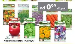 Mrówka Nasiona warzyw W.Legutko oferta