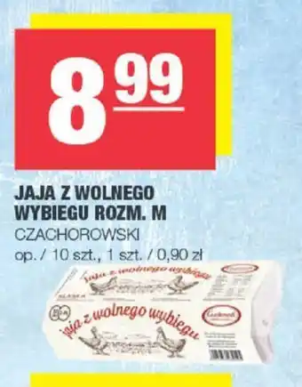 Spar CZACHOROWSKI JAJA Z WOLNEGO WYBIEGU ROZM. M 10szt. oferta