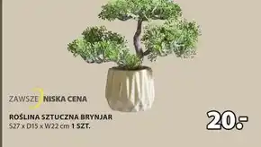 JYSK Sztuczna roślina oferta