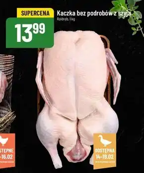 Polomarket Kaczka Roldrob oferta