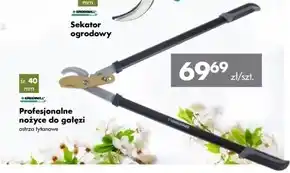 Mrówka Nożyce do gałęzi Greenmill oferta