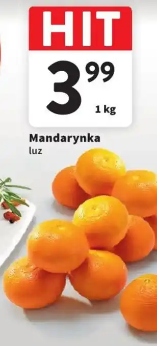 Intermarche Mandarynka 1 kg oferta
