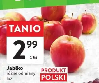 Intermarche Jabłko 1 kg oferta