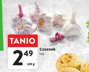 Intermarche Czosnek 100 g oferta