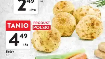Intermarche Seler 1 kg oferta