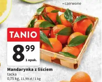 Intermarche Mandarynka z liściem 0,75 kg oferta