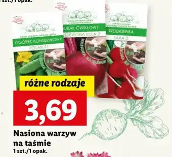 Lidl Nasiona warzyw na taśmie oferta