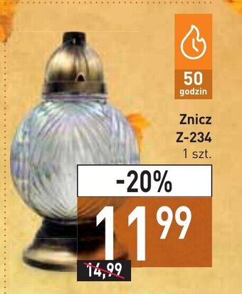 Stokrotka Znicz Z-234 oferta