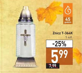 Stokrotka Znicz T-364K oferta