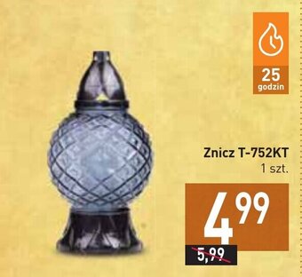 Stokrotka Znicz T-752KT oferta