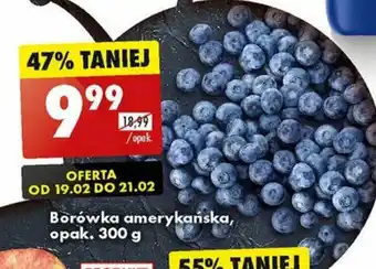 Biedronka Borówka amerykańska 300g oferta