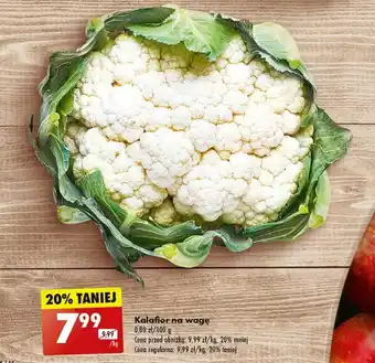 Biedronka Kalafior 1kg oferta