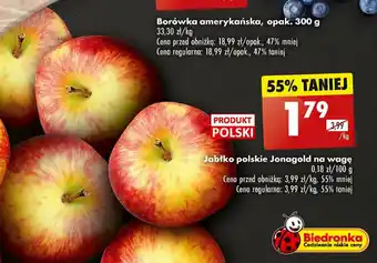 Biedronka Jabłko polskie Jonagold 1kg oferta
