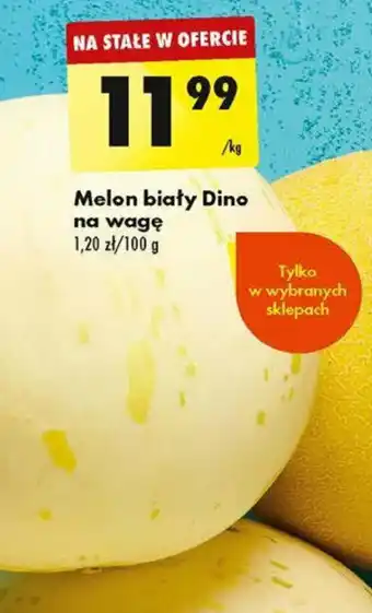 Biedronka Melon biały Dino 1kg oferta