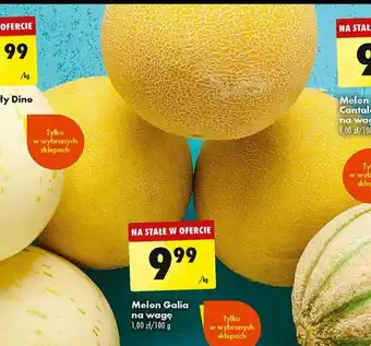 Biedronka Melon Galia 1kg oferta