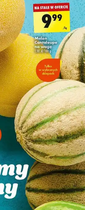 Biedronka Melon Cantaloupe 1kg oferta