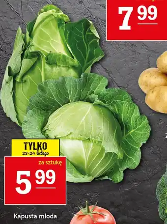 Gram Market Kapusta oferta