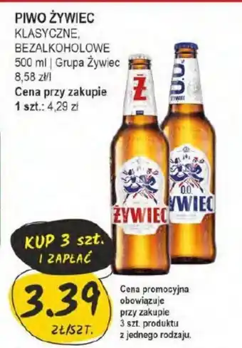 Słoneczko PIWO ŻYWIEC 500 ml oferta
