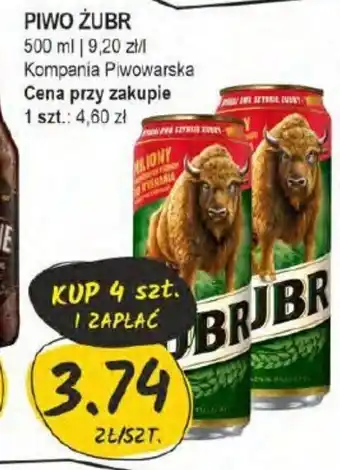 Słoneczko PIWO ŻUBR 500 ml oferta