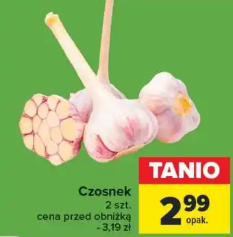Czosnek